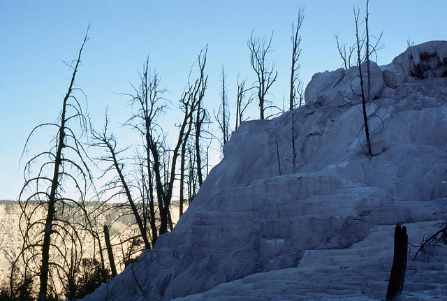 Mammoth Hot Springs, Yellowstone National Park