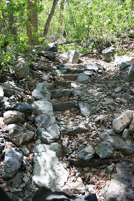 Toiyabe Crest Trail