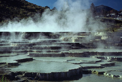 Opal Terraces, Mammoth, Yellowstone National Park