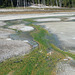 Norris Geyser Basin, Yellowstone National Park