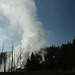 Norris Geyser Basin, Yellowstone National Park