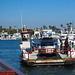 Balboa Island Ferry (3919)