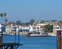 Balboa Island Ferry (3926)