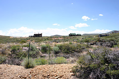 Bodie