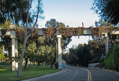 Corona del Mar Goldenrod Footbridge (3949)