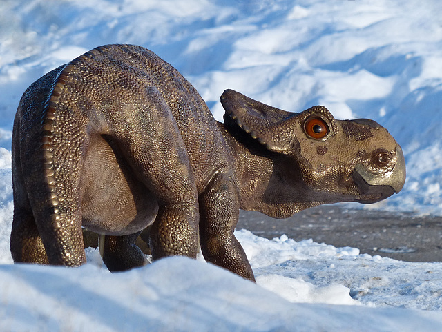 It's not every day that you see a baby dinosaur