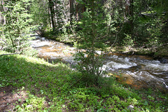 Roaring Creek