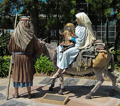 Garden Grove: Christ (Crystal) Cathedral (2645)