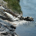 Lower Geyser Basin, Yellowstone National Park