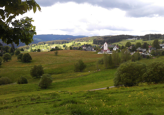 Schwarzwald (Saig)