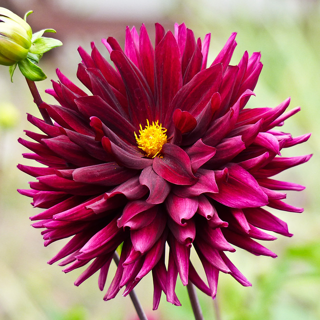 Wanted and needed - COLOUR!