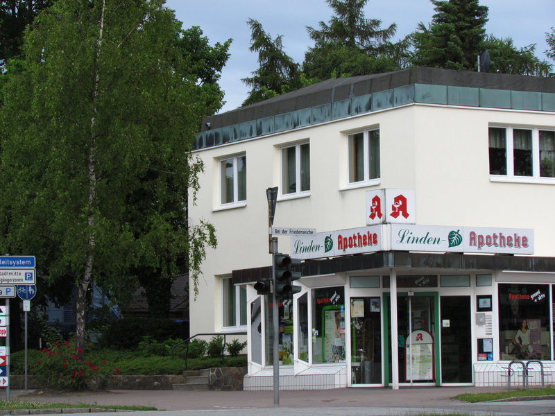 Die Birke vor der Linden-Apotheke bei der Friedenseiche...