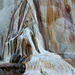 Orange Spring, Mammoth Hot Springs, Yellowstone National Park