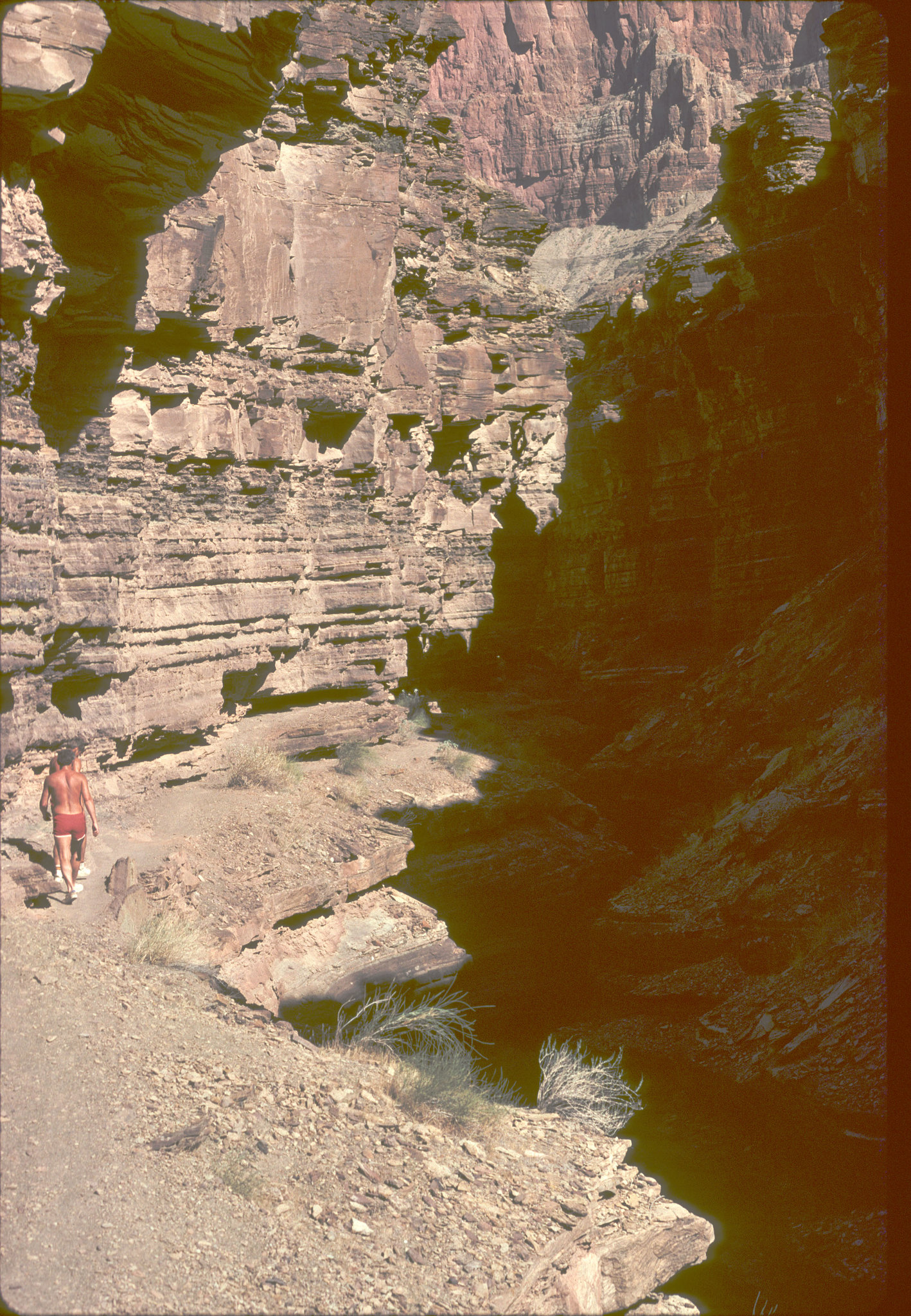 3-21-deer_ck_cyn_adj