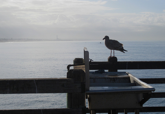 Oceanside Pier morning 3410a