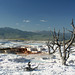 Mammoth Hot Springs, Yellowstone National Park