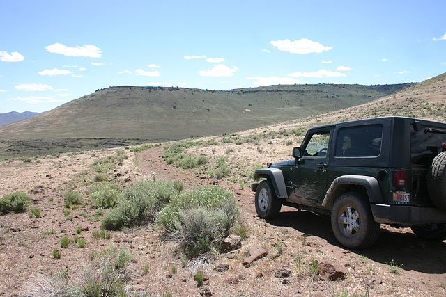 Buffalo Creek bench