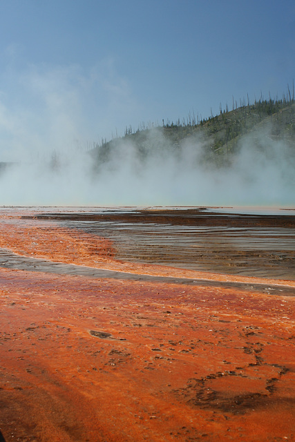 Midway Geyser Basin, Yellowstone National Park