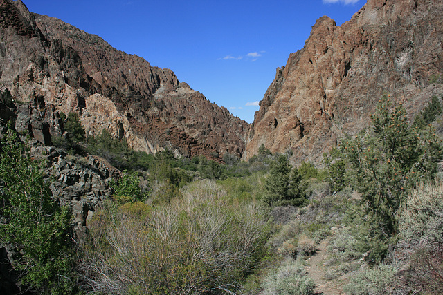 Canyon, South Twin River