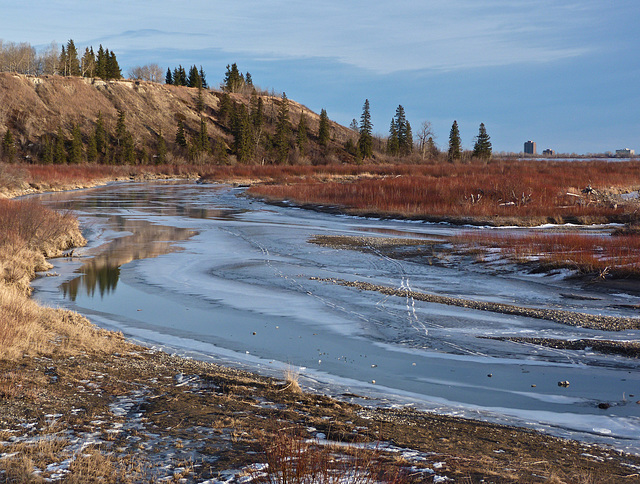 Mid-winter colours