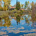 Inglewood Bird Sanctuary