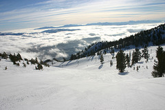 IMG_2670_cleaned
