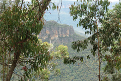 Blue Mountains, 10 Jan 2012