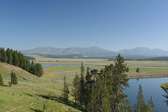 Hayden Valley, Yellowstone National Park