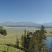 Hayden Valley, Yellowstone National Park