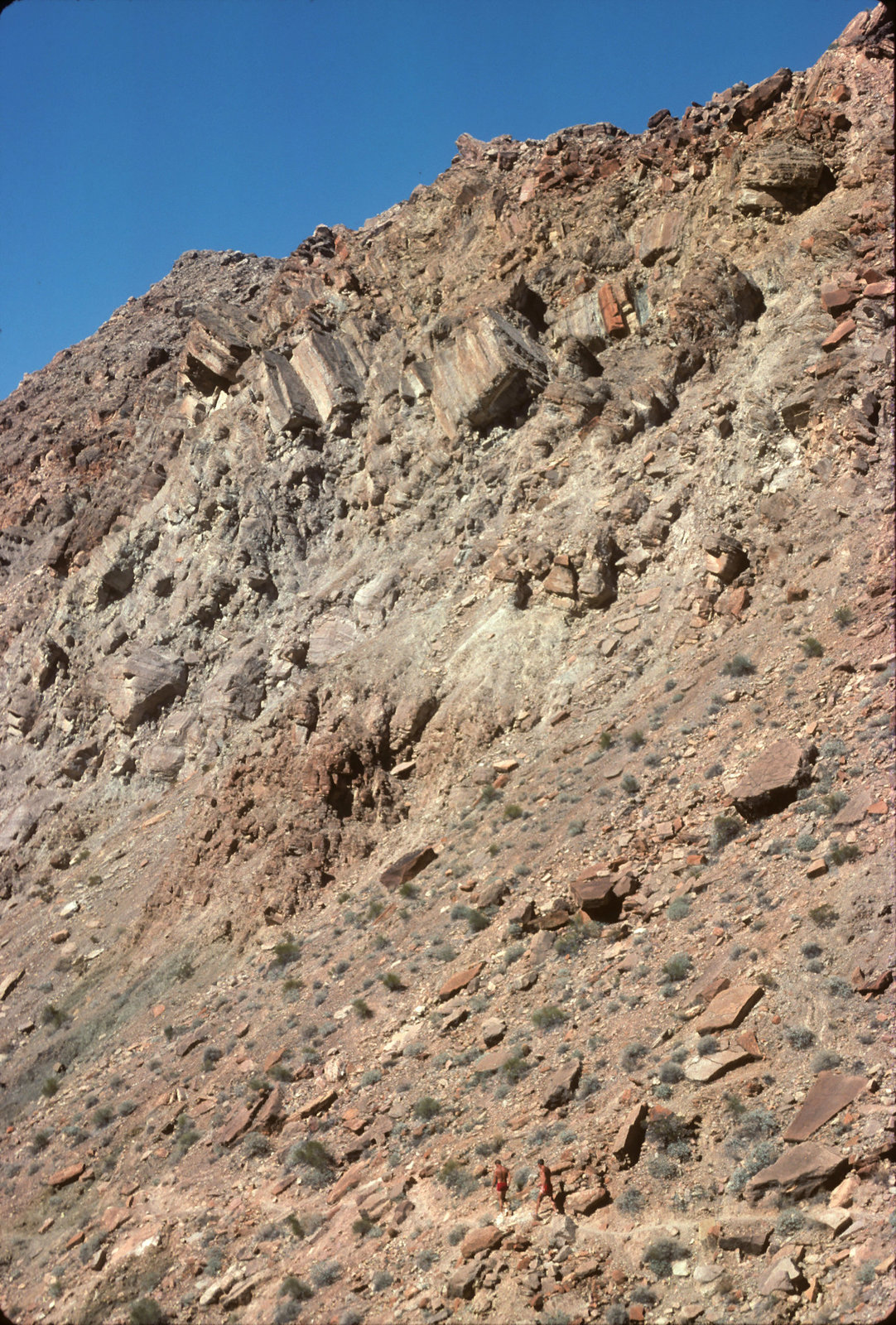 3-26-slide_breccia_ig_adj