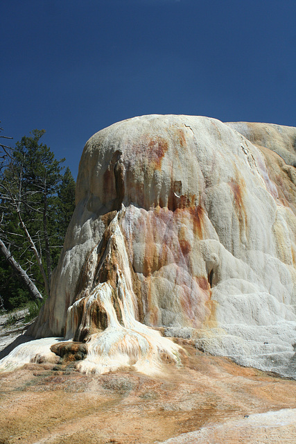 Mammoth Hot Springs, Yellowstone National Park