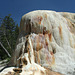 Mammoth Hot Springs, Yellowstone National Park