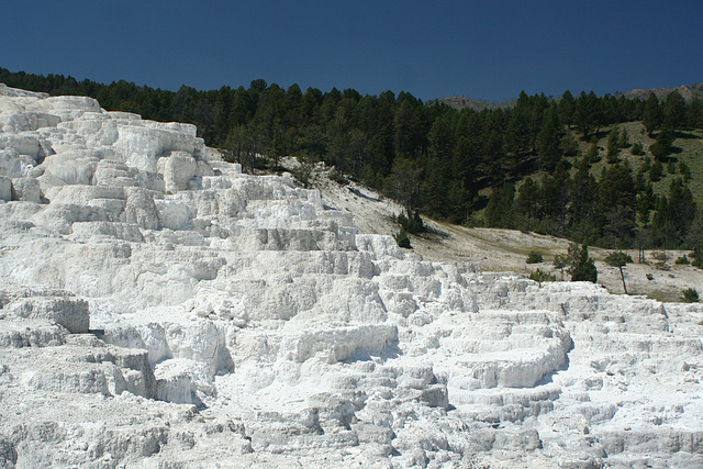 Mammoth Hot Springs, Yellowstone National Park