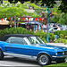 Mustang in Peachland, BC