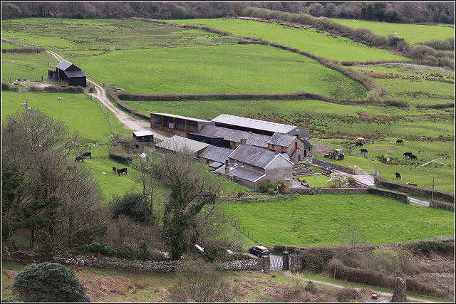 Farm view