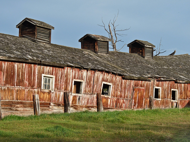 Colpitt's Ranch history