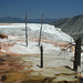 Mammoth Hot Springs, Yellowstone National Park