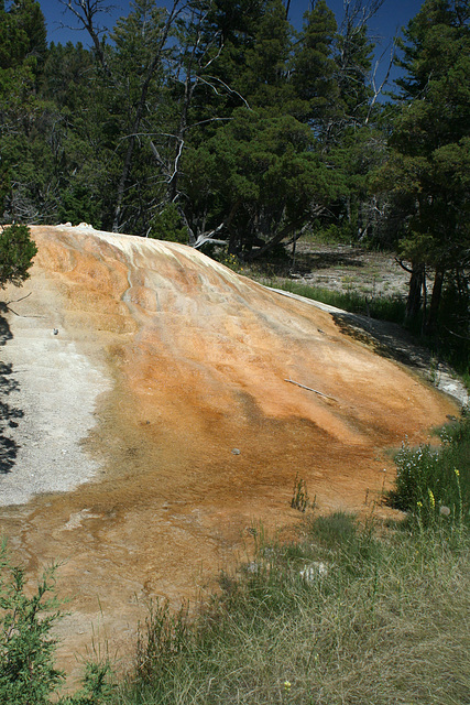 Mammoth Hot Springs, Yellowstone National Park