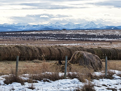 Winter colours