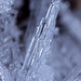 Ice Crystals.