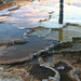 Mammoth Hot Springs, Yellowstone National Park