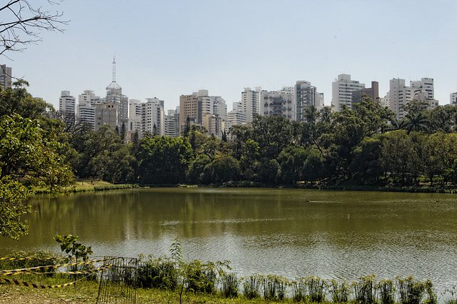 The park and the city.