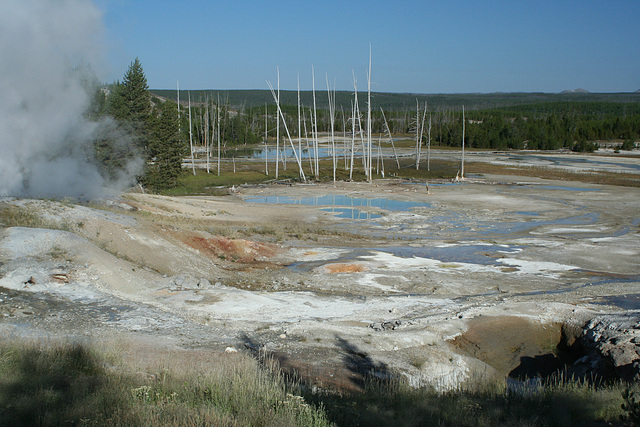 Norris Geyser Basin, Yellowstone National Park