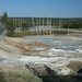 Norris Geyser Basin, Yellowstone National Park