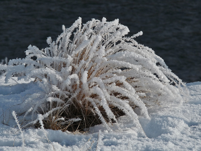 Winter's beauty, two years ago