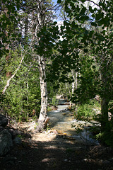 Sweetwater Creek