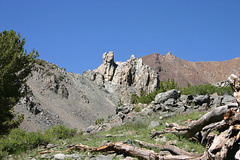 Off Virginia Lakes trail, toward summit