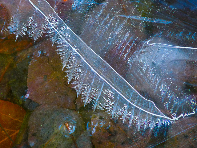 Feathers of ice