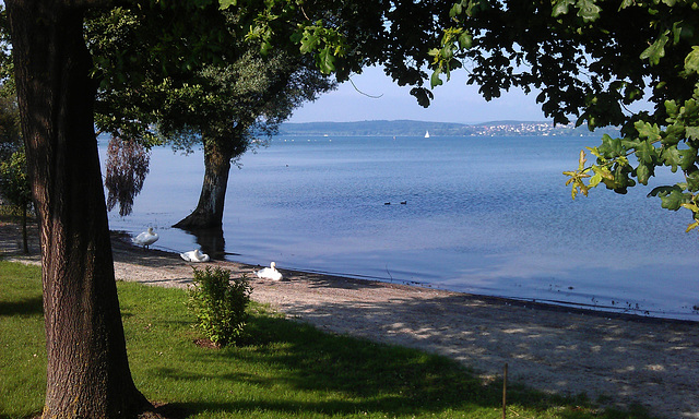 Bodensee