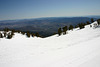 IMG_4537_cleaned